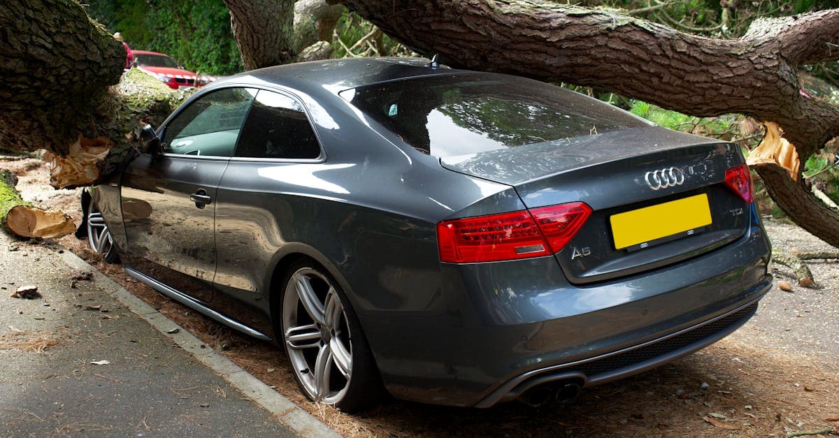 Cover Image for Filing a Comprehensive Insurance Claim: Step-by-Step Process