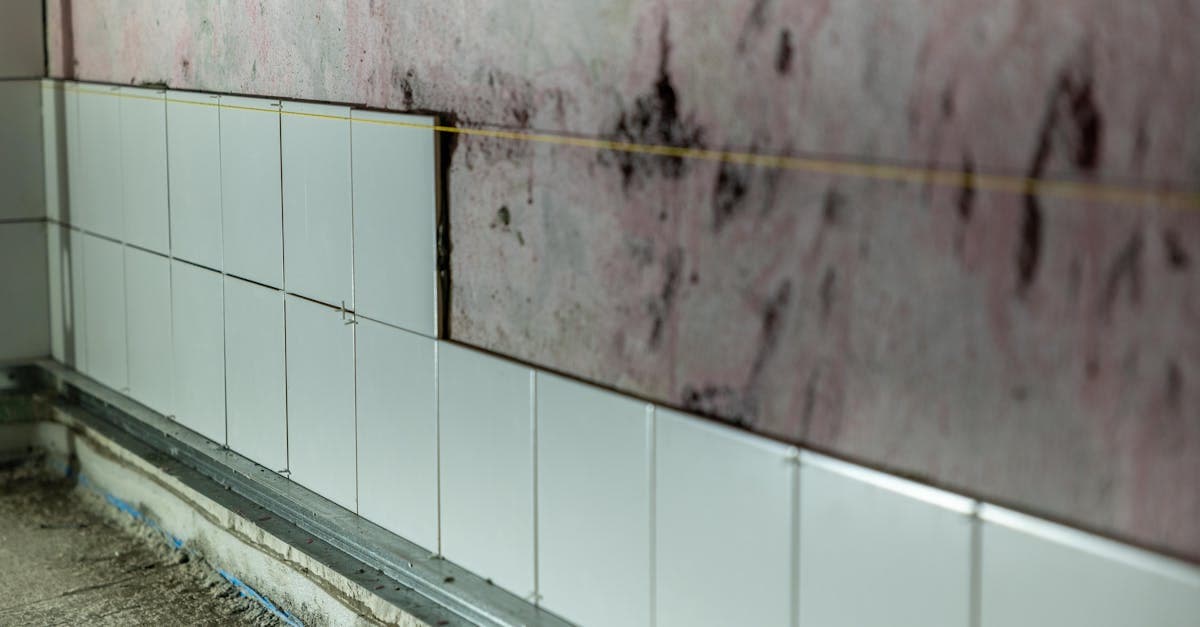 Cover Image for How to File a Mold Claim on Your Homeowners Insurance