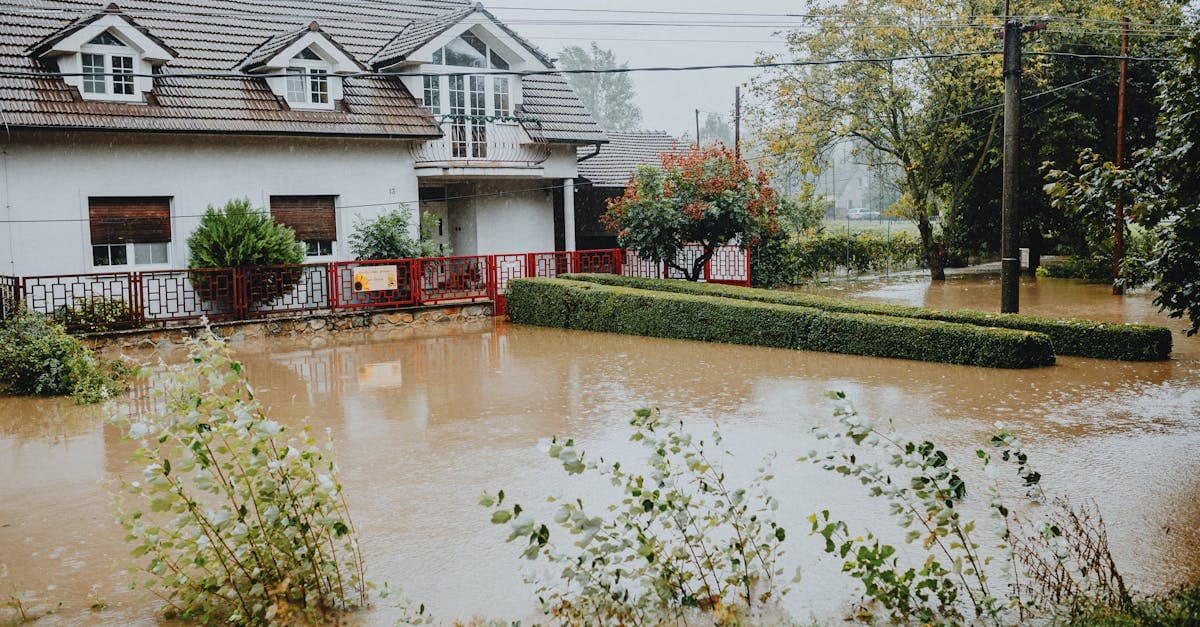 Cover Image for The True Cost of Flood Damage Without Flood Insurance