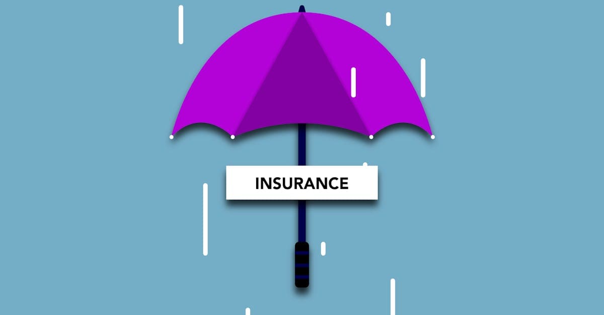 Cover Image for Variable Life Insurance Illustrations: Investment Subaccounts and Market Risk