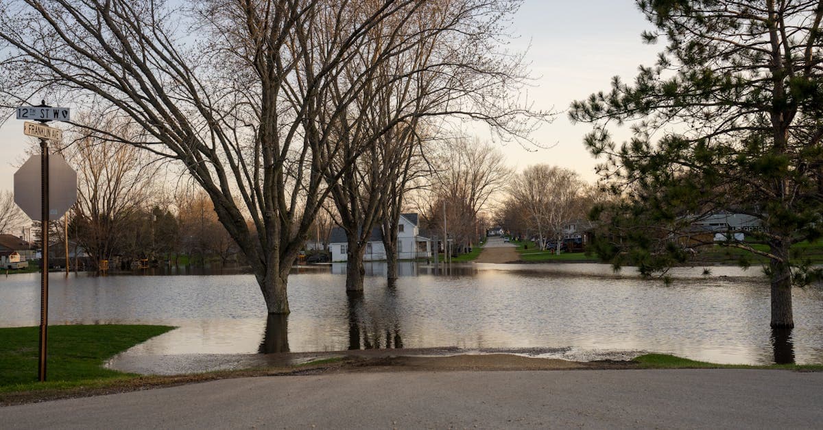 Cover Image for Understanding Your Flood Insurance Deductible Options