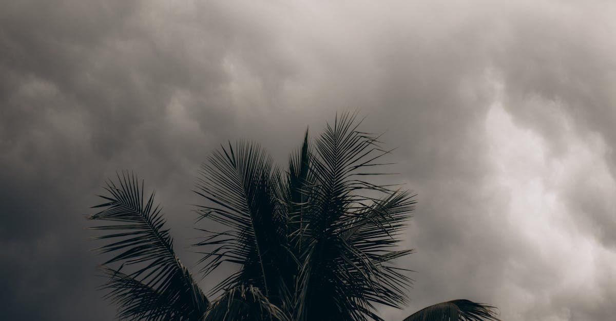 Why Your Hurricane Deductible Might Cost You More Than You Think