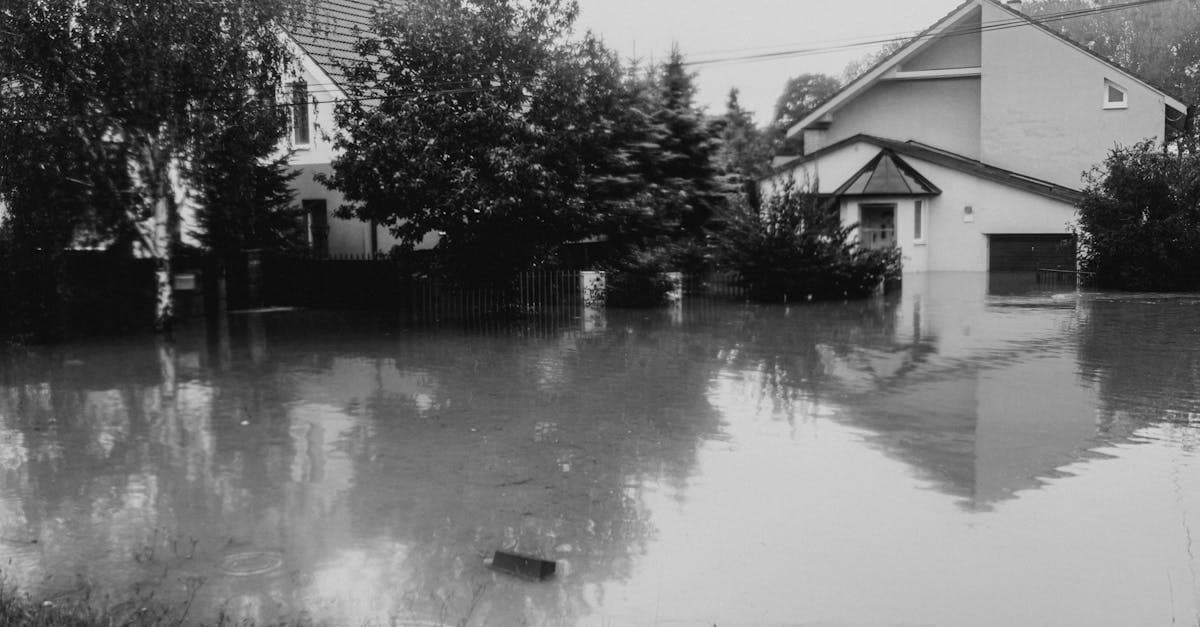 The True Cost of Flood Damage Without Insurance Outside a High-Risk Zone