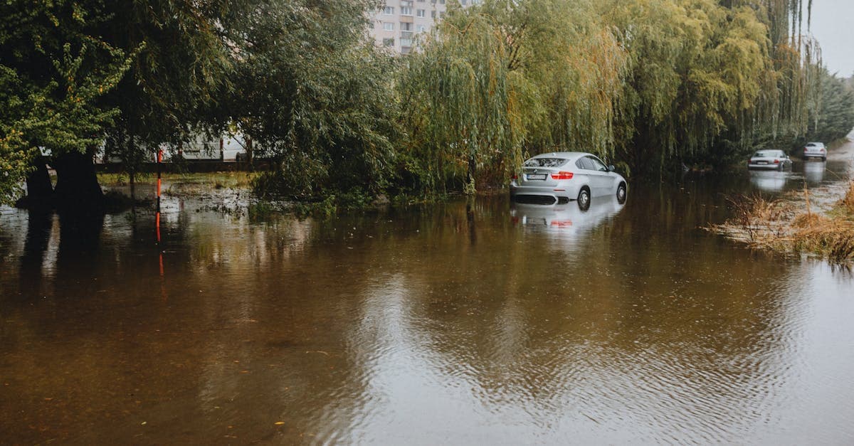 Condo Flood Insurance vs Condo Homeowners Insurance: Key Differences